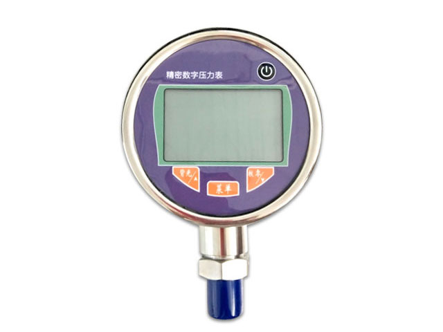 DY-YLB Precision Digital Pressure Gauge