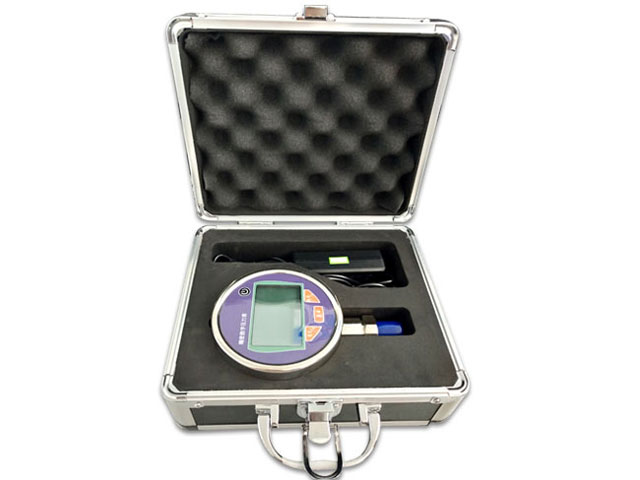 DY-YLB Precision Digital Pressure Gauge