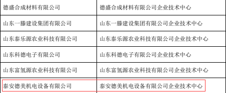 泰安德美成功入选市级企业技术！