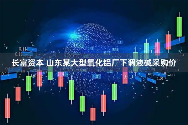 长富资本 山东某大型氧化铝厂下调液碱采购价