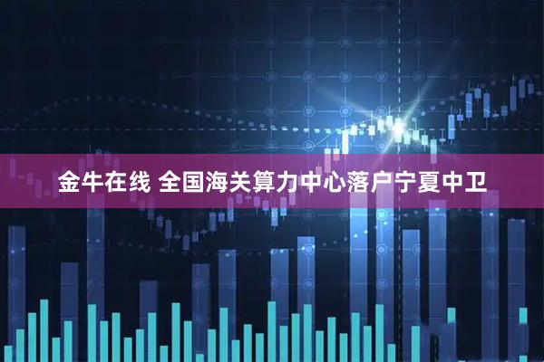 金牛在线 全国海关算力中心落户宁夏中卫