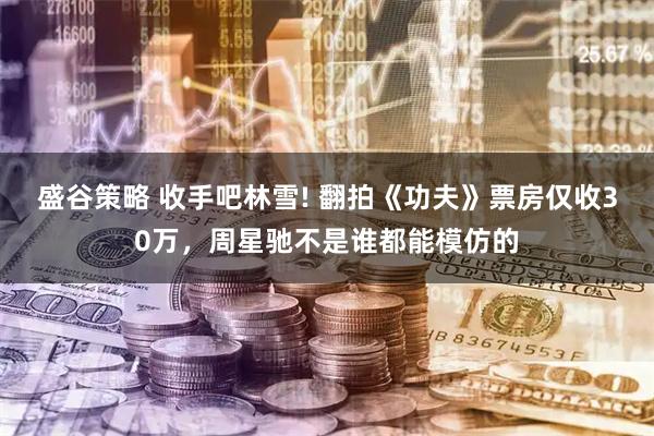 盛谷策略 收手吧林雪! 翻拍《功夫》票房仅收30万，周星驰不是谁都能模仿的