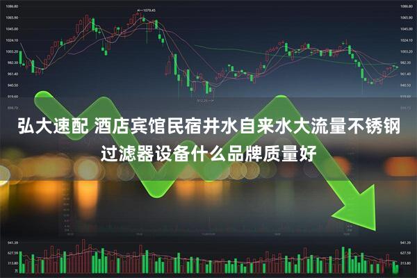 弘大速配 酒店宾馆民宿井水自来水大流量不锈钢过滤器设备什么品牌质量好